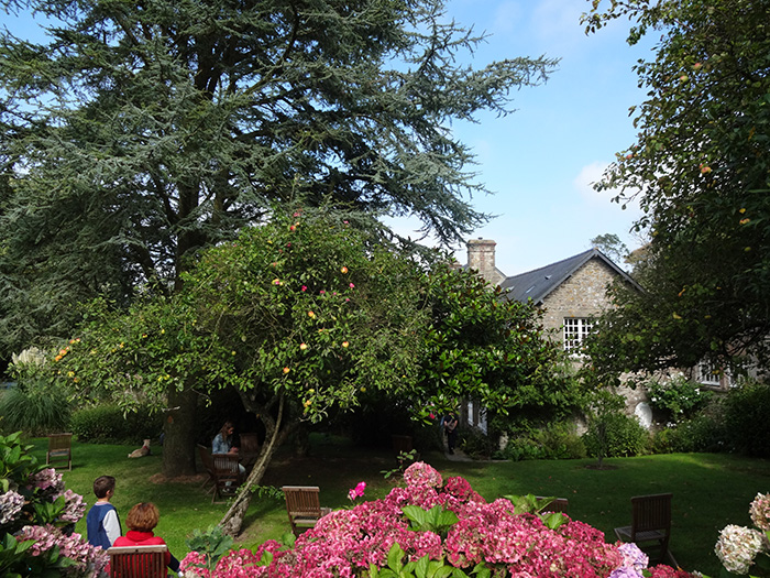 Le jardin