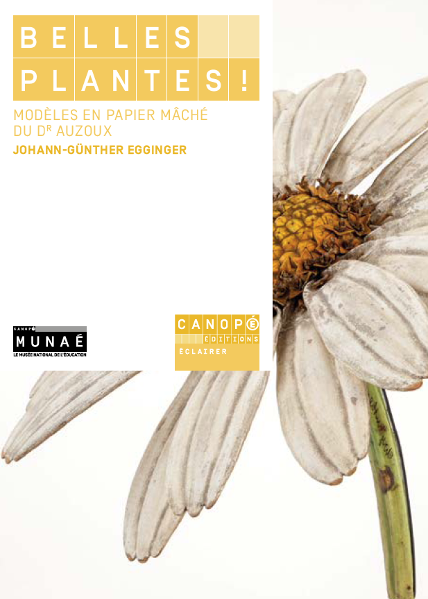 Belles plantes ! Les modèles en papier mâché du Dr Auzoux