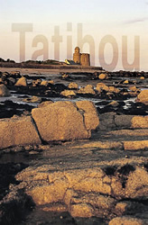 Découvrir l'île de Tatihou