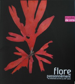 Flore passionnément ! Les Botanistes de Vire au XIXe siècle