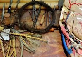 Musée de l'écorché d'anatomie