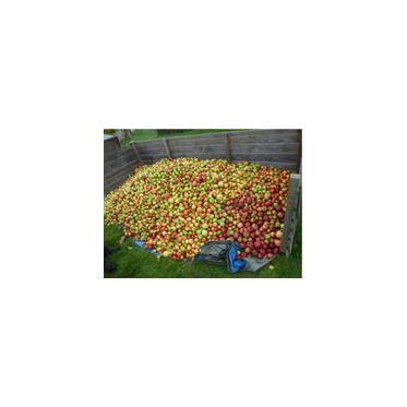 De la pomme au cidre