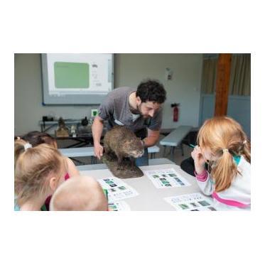 Atelier Classer les animaux du marais